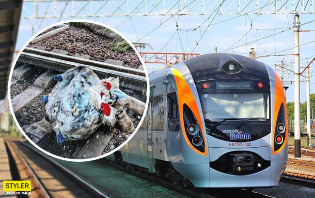 Поезд Интерсити остановили из-за неудачной шутки: все подробности