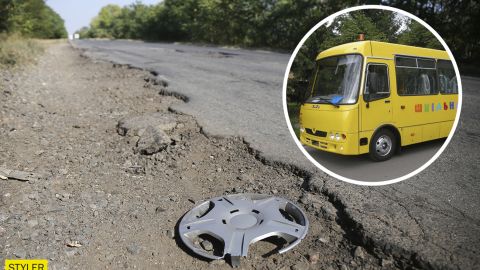У мережі показали "вбиту" українську дорогу, якою возять до школи дітей: зарості в джунглях