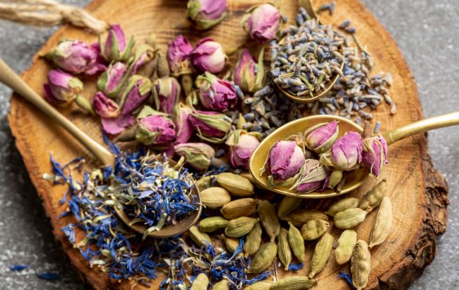 Трави, які рятують шлунок: 4 природні способи покращити травлення