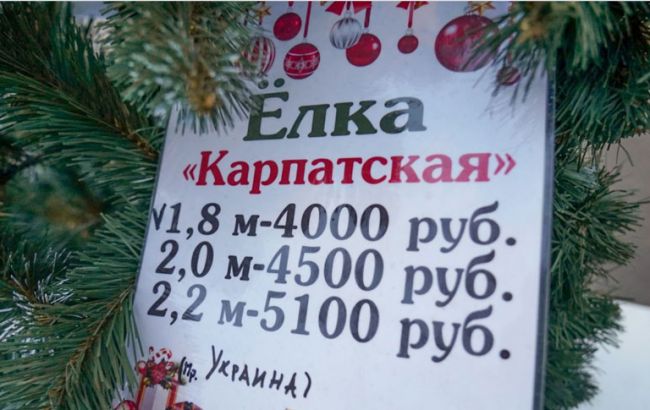 "Везут через Россию": в центре Симферополя продают ели из Ивано-Франковской области