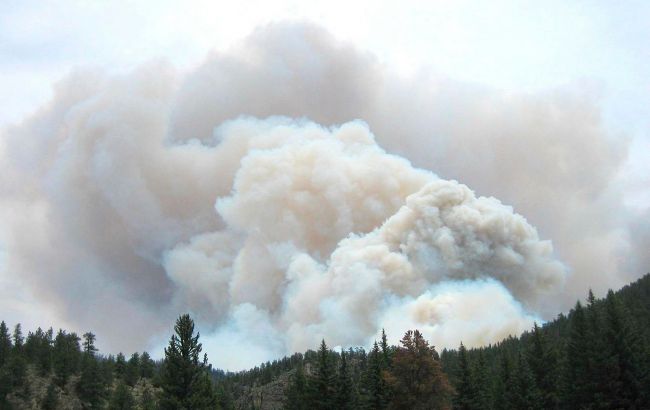 Міноборони потролило росіян "Бавовнятком": приходить на склади та бавиться з вогнем