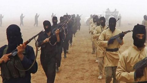 В Пентагоне заявили об изгнании ИГ из Сирии