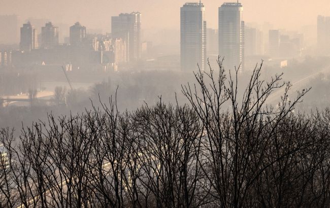 Киян закликали зачинити вікна через пожежі в Київській області