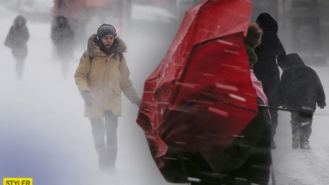 В Украину идет снежная буря: какие области под ударом