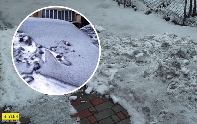 В одному з регіонів України випав чорний сніг: місцеві жителі в шоці