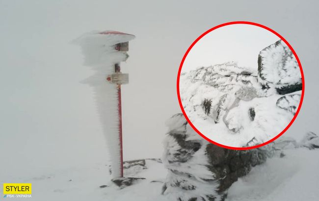 Первый день лета: сеть поразило фото зимних Карпат