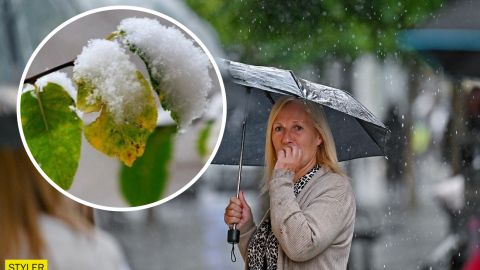 Аномальное тепло и катаклизмы: климатолог дала прогноз на зиму