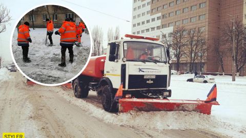 В Киеве коммунальщики отказались расчищать от сугробов дорогу к школе для детей с проблемами зрения