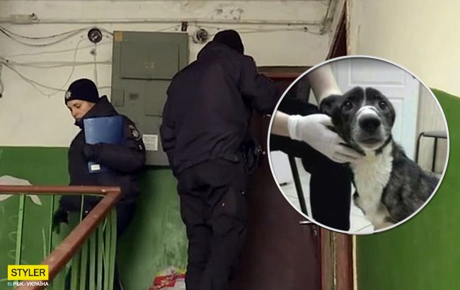 Виснажені та хворі: у Харкові визволили двадцять тварин із собачої в'язниці