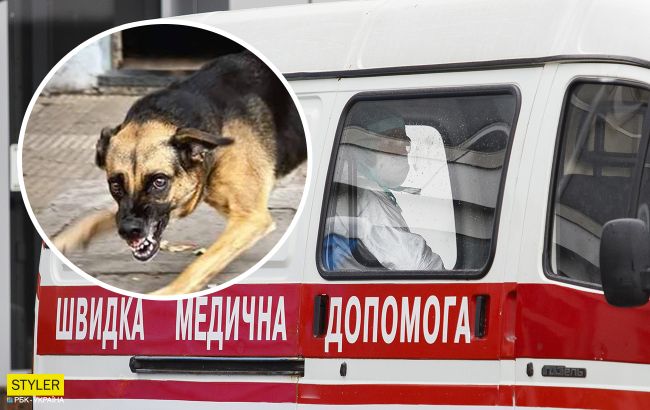 Под Киевом бешеная собака покусала прохожую: в общине ввели карантин