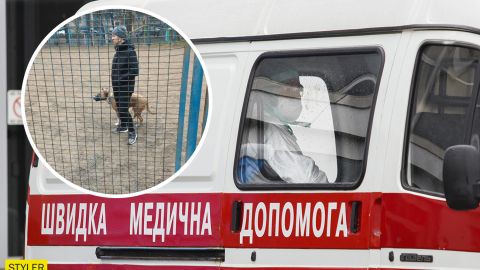 Під Києвом бійцівська собака напала на 7-річного хлопчика: розірвана мочка вуха
