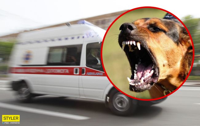 У Києві агресивна собака намертво вчепилася в таксу: на допомогу прийшов нацгвардієць з ножем (відео)
