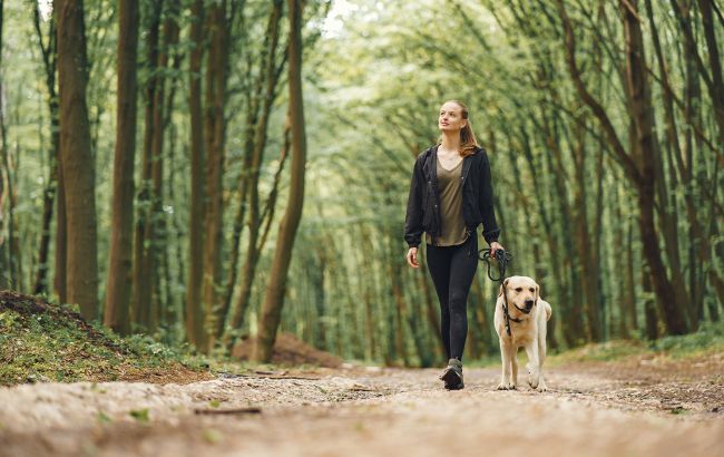 Какая ходьба приносит самую большую пользу организму: ответ кардиолога