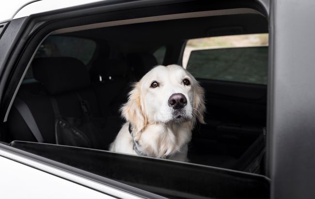 Люк, кондиціонер чи відкриті вікна: як економніше налаштувати мікроклімат у салоні авто