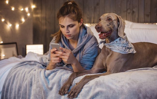 Аренда с котами и собаками: где в Украине проще всего найти pet-friendly жилье и какие цены