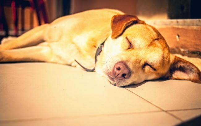 Погода на сьогодні: в Україні переважно без опадів, температура до +13