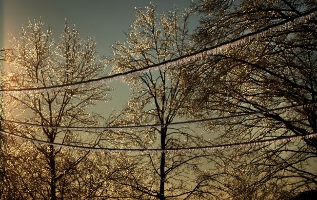 У Канаді через крижаний шторм понад 1 млн людей залишилися без електрики