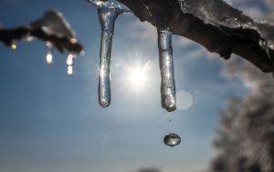 В Україну йде потепління: якою буде погода в останній день зими