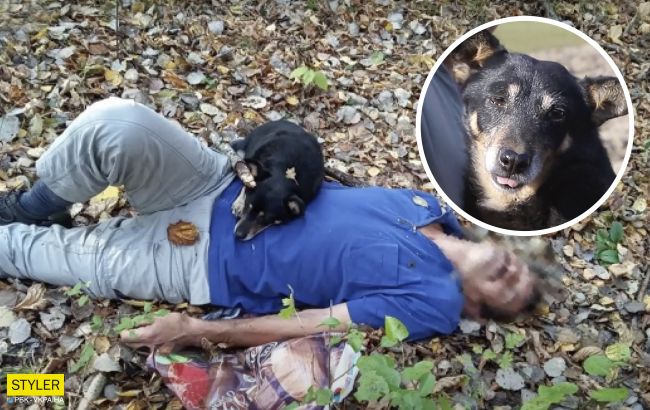 Закарпатский пес получил звание "Герой года": он совершил невероятное!