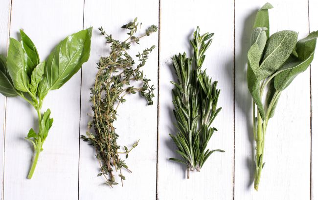 Названа зелень, яка знижує артеріальний тиск і допомагає роботі серця