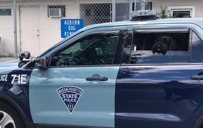 В Полиции Бостона заявили, что наезд на толпу не был преднамеренным