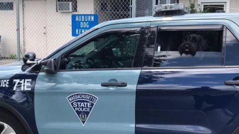 В результаті стрілянини в США загинули 5 осіб