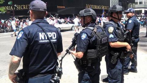 У Нью-Йорку розбився літак