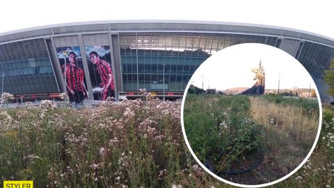 Куча диких собак и сорняки: появились ужасающие фото Донбасс-Арены