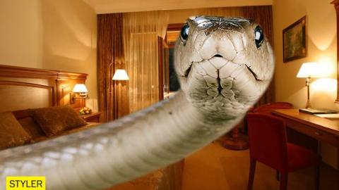 Величезна змія не на жарт налякала жителів Херсона (фото)