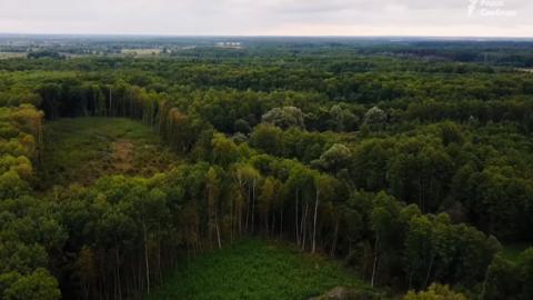 Художественный хутор Обырок в Черниговской области борется за создание заказника