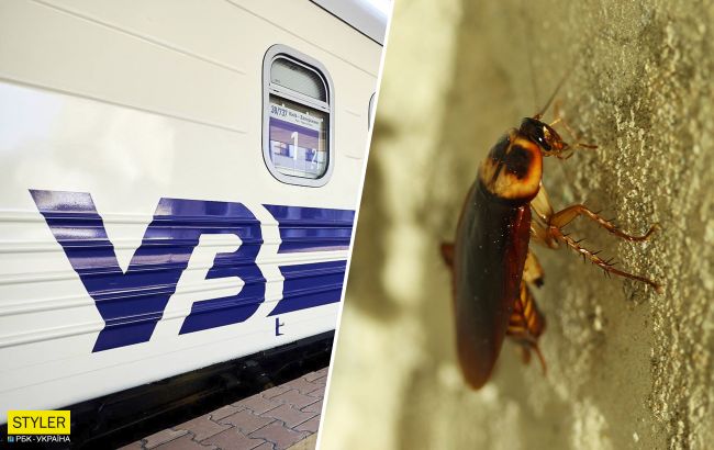 Ползали по постелям и пассажирам: поезд Одесса-Харьков оккупировали тараканы (видео)
