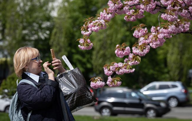 В Киеве расцветают сакуры и магнолии: где их можно увидеть (фото)
