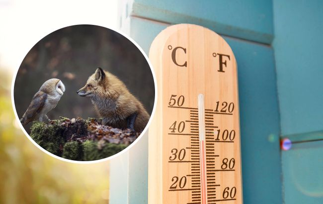 Вчені визначили найбільш сприятливу температуру для живих істот на Землі