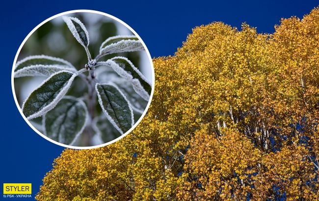 Від лютих морозів до "бабиного літа": синоптики ошелешили новим прогнозом погоди