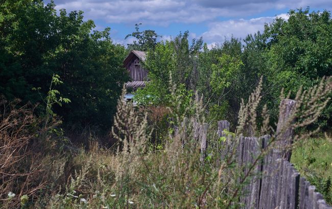 Небезпечні зелені "прибульці". Як клімат і люди змінюють рослинний світ України
