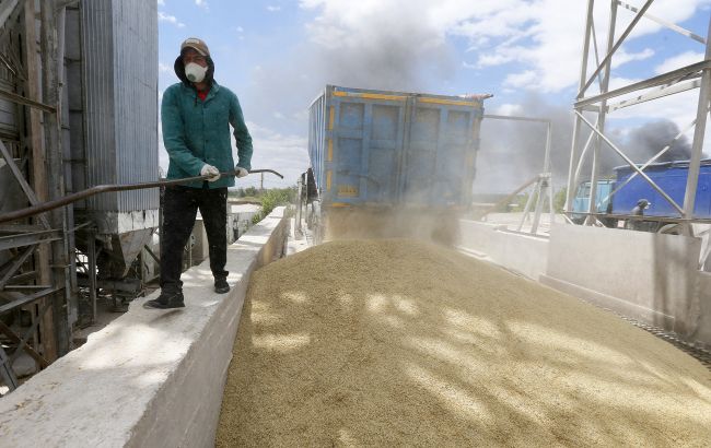 Украина проведет второй саммит Grain from Ukraine: спецпредставитель назвал термины