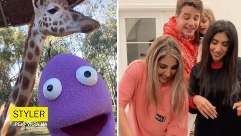 Дивіться найпозитивніші TikTok-відео, які розсмішили всіх у 2021 році