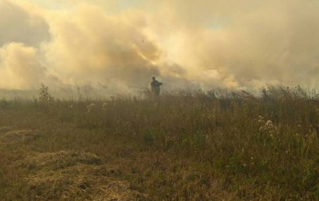 Синоптики предупредили о высокой пожарной опасности на выходных