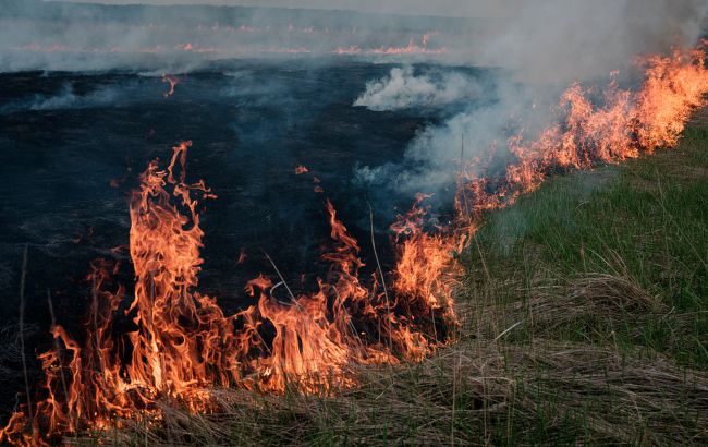 У Херсонській області через обстріли окупантів вигоріло понад 240 гектарів пшениці