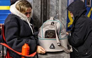 У Києві вдруге за ніч оголошено повітряну тривогу: загроза ударних дронів