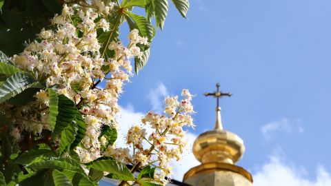 Вознесіння Господнє 2025: найтепліші привітання для близьких у віршах, прозі та листівках