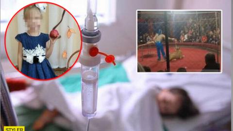В Росії 4-річна дівчинка після нападу левиці в цирку впала в кому