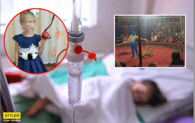 В России 4-летняя девочка после нападения львицы в цирке впала в кому