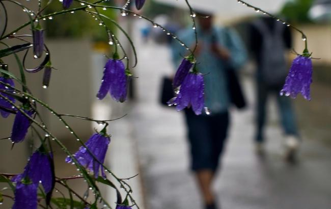 Погода на сьогодні: в Україні місцями дощі та грози, температура до +32