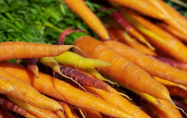 В сети показали плачевные последствия карантина для фермеров: гора моркови на дороге