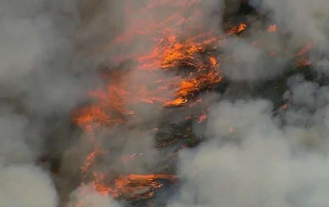В Польше вспыхнули масштабные пожары в национальном парке