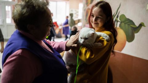 Украинцы могут получить компенсацию за жилье для переселенцев: что нужно знать