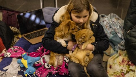 В Киеве и ряде областей Украины объявили воздушную тревогу