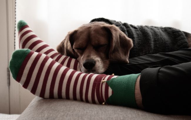 Кому категорично не можна спати в теплих шкарпетках: може привести до некрозу