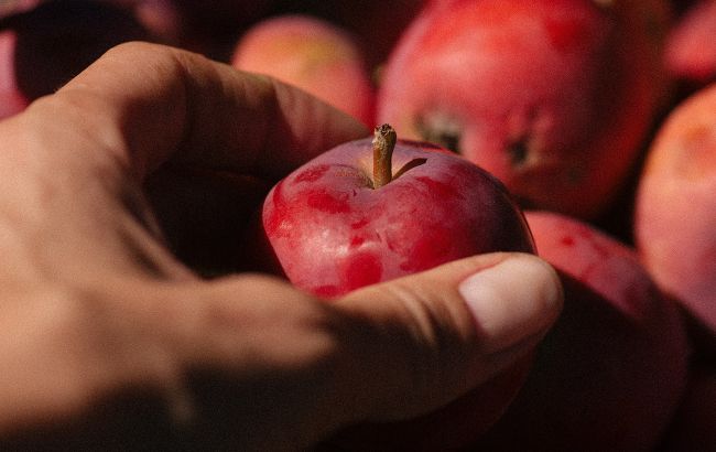 Незвичайний спосіб зберігання яблук, за допомогою якого вони пролежать місяцями